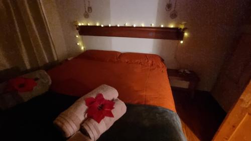 Norge Apartamento | Trento- Monte Bondone Appartamento tipico di montagna