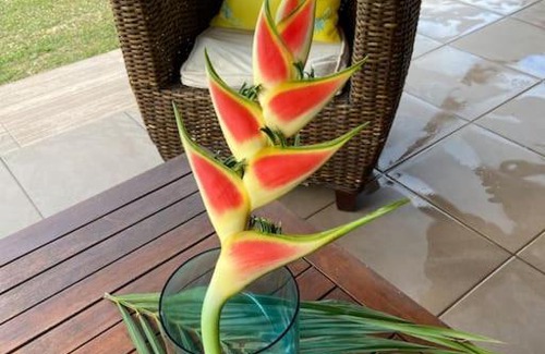 Deshaies Casa | Villa alahaut