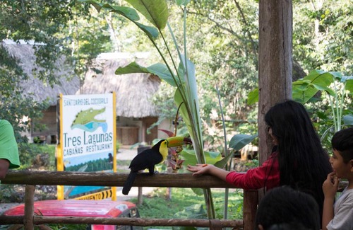 Lacanjá Casa | Tres Lagunas, Selva Lacandona