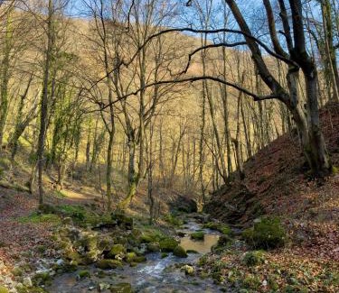 Central Serbia Apartamento | Trest Forest