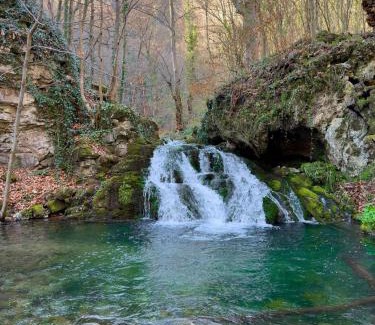 Central Serbia Apartamento | Trest Forest