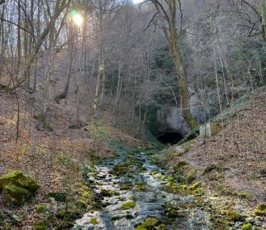 Central Serbia Apartamento | Trest Forest