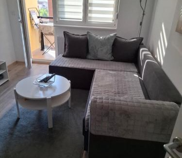 Banja Koviljaca Apartamento | Tri Palme 2