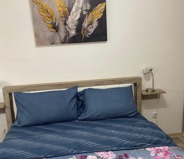 Banja Koviljaca Apartamento | Tri Palme 2