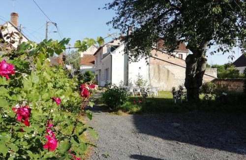 Saint-Aignan Casa | Tribu du ZOO Saint Aignan centre 3ch Jardin et Parking privé clos de murs