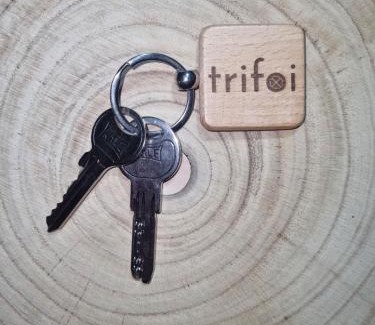 Dorna Arini Chalet De Esquí | Trifoi Chalet