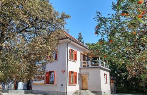 Kranj Casa | Triglav Apartment House