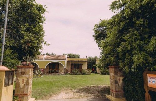 Kardamas Apartamento | Trikalioti's Lush Estate Apt Artemis