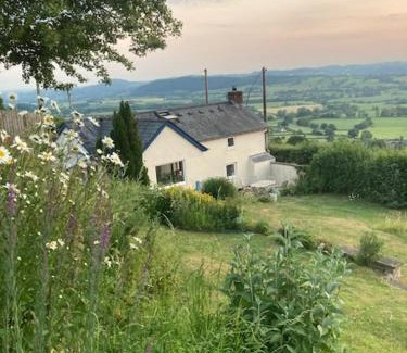 Trewern Casa | Trinity Cottage