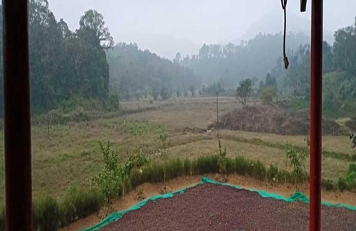 Kaimane Casa | TripThrill Jungle Side Homestay