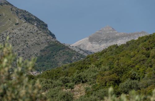 Kardamyli Apartamento | Trisilio