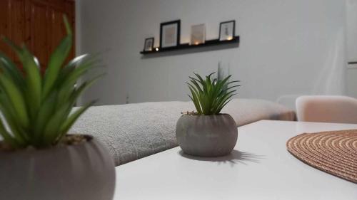 Troezen Apartamento | TriΖin