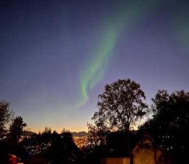 Tromsdalen Casa | Tromsø pearl near mountains, city life and northern lights