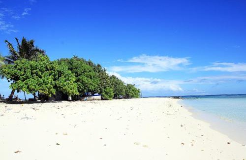 Gulhi Casa | Tropic Tree Maldives