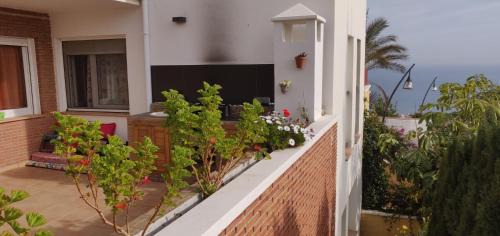 Velilla-Taramay Apartamento | Tropical Andalusian place