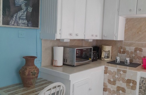 Maynards Apartamento | Tropical Blossom Apt. with washer, T.V, a/c,wi-fi