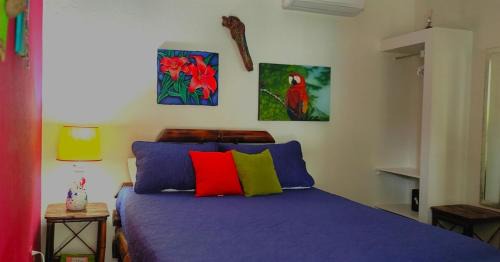 Barrio Las Parcelas Apartamento | Tropical Cabina Pool & AC Cozy Bright Refreshing