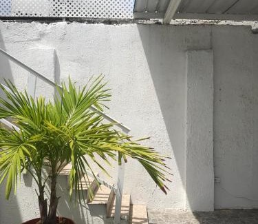 Punta Hansa Hotel | Tropical Dreams