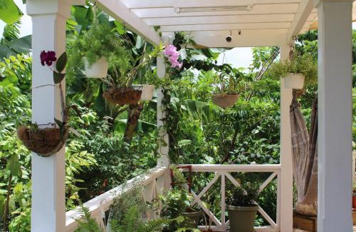All Saints Apartamento | Tropical Garden Cottage Antigua