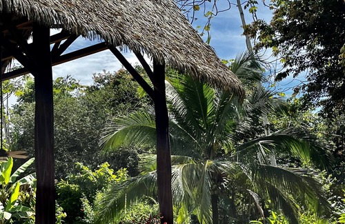 Puerto Jiménez Casa | Casa tropical en la Península de Osa, cerca de la playa en un barrio tranquilo