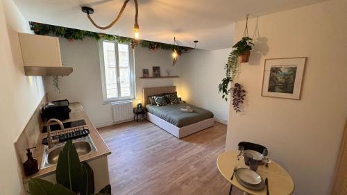 Beziers City Centre Apartamento | Tropical Jungle