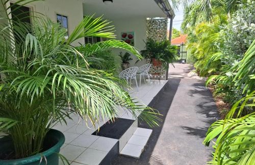 Willemstad Apartamento | Tropical Palm Retreat