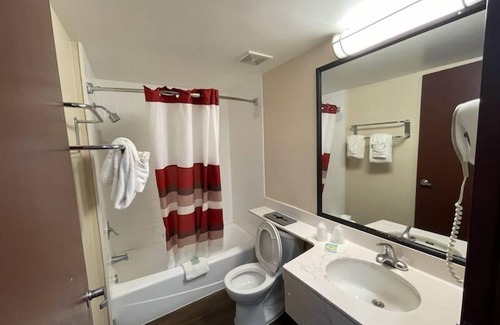 Clearwater Hotel | Tropical Palms Hotel