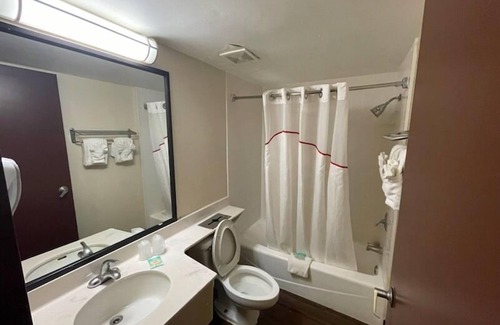 Clearwater Hotel | Tropical Palms Hotel