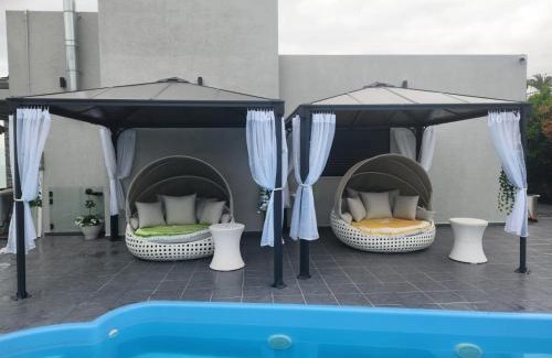 Amnon Casa | Tropicana