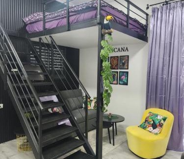 Amnon Casa | Tropicana