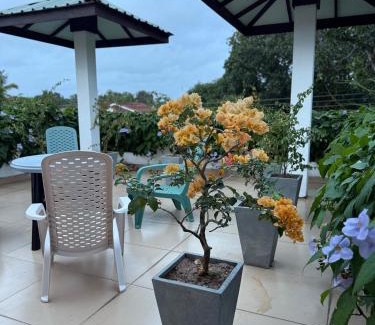 Negombo Cama Y Desayuno | TROPICANA NEGOMBO boutique hotel
