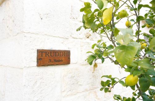Locorotondo Apartamento | Truddhi Casa e Cucina di Puglia