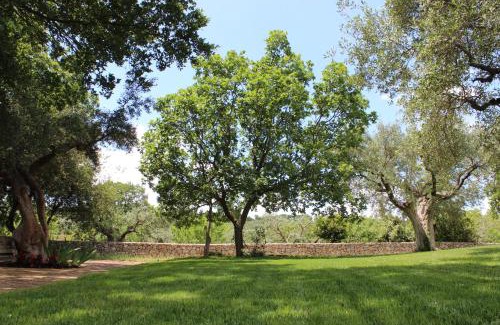 L'Assunta Casa | Trulli Gemma