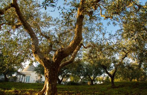 Locorotondo Villa | Trullo dei maestri