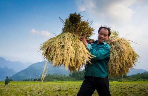 Mai Chau Casa | Truong Huy Homestay