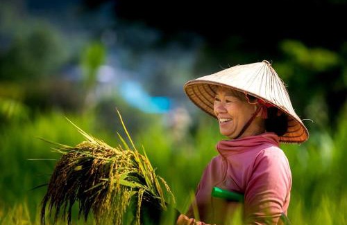Mai Chau Casa | Truong Huy Homestay