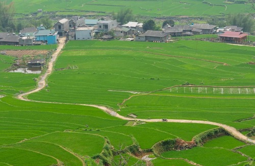 Tram Tau Casa | Truong Nhan Tram Tau Homestay