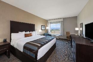 Florida Central Atlantic Coast Hotel | TRYP by Wyndham Orlando
