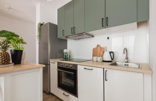 West Pomeranian Voivodeship Apartamento | TS New Town Stay