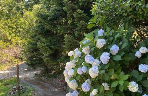 Tsagarada Casa | Tsagarada's friends and family cottage