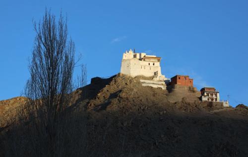 Leh Casa | Tsanavilla guest house