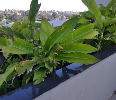 Kawangware Apartamento | Tsavo Pentagon