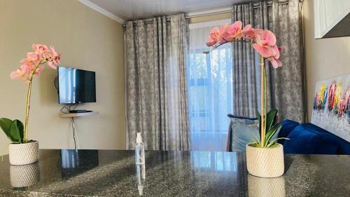 Mkhuhlu Apartamento | Tshamani self catering