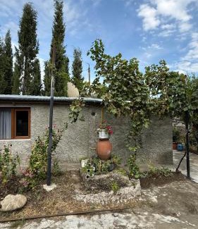 Tsinandali Casa | Tsinandali Wine cellar