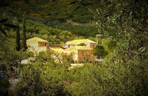 Laganas Cama Y Desayuno | Tsivouli Accommodation