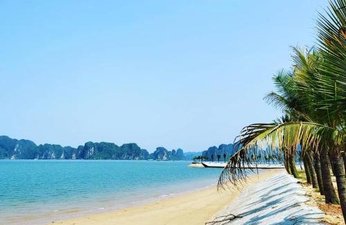 Ha Long Hotel | Tuan Chau Havana Hotel