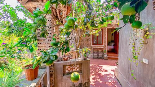 Hoa Lu Cabina | Tuan Nam Homestay