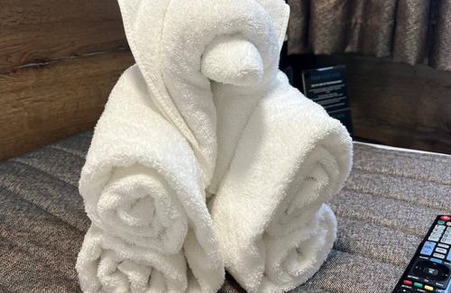 Paddington Hotel | Tudor Court Hotel