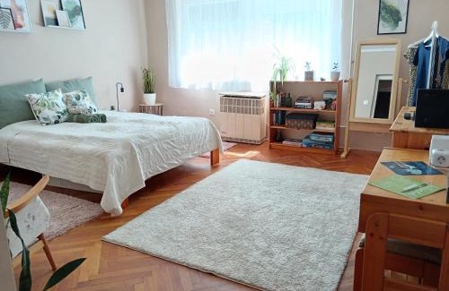 Bekescsaba Apartamento | Tulipán Apartman