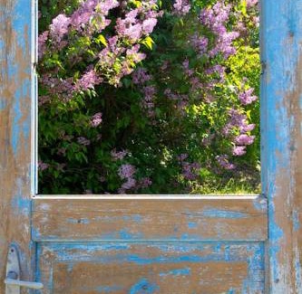 Sarud Apartamento | Tulipános Porta